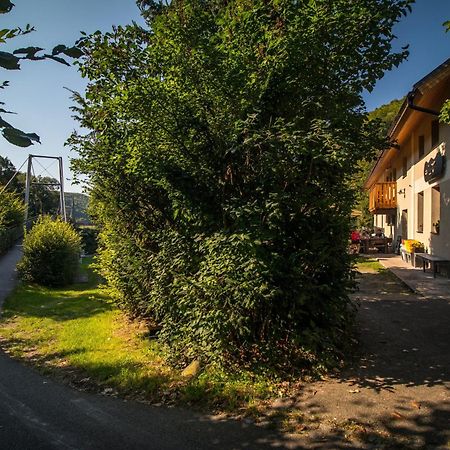 Penzion Krizky Malá Skála Exteriér fotografie